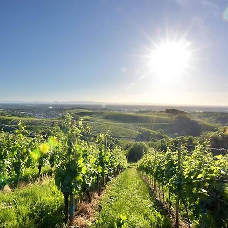 Ferienwohnungen Weingut Pieper Basler Ofemburgo Exterior foto