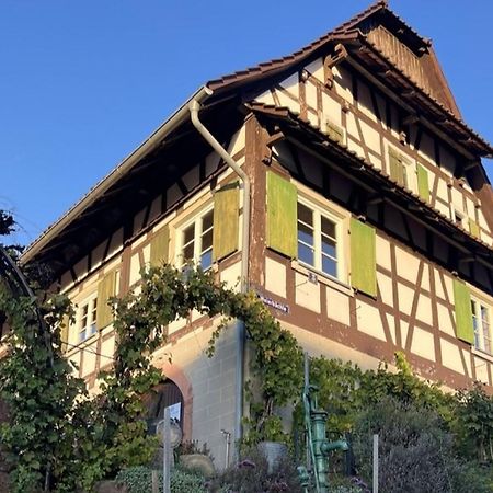 Ferienwohnungen Weingut Pieper Basler Ofemburgo Exterior foto